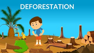 Deforestation  Causes Effects amp Solutions  Video for Kids [upl. by Wolram]