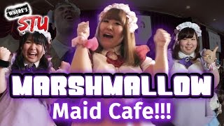 Japans First PLUSSIZE Maid Cafe Marshmallow Cafe [upl. by Ak]