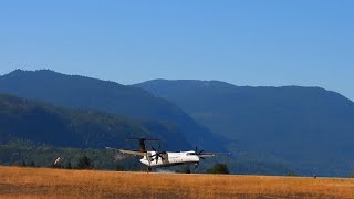 Air Canada Q400 Mountainous Approach amp Landing in Castlegar BC [upl. by Blood]