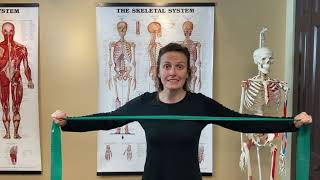 7Point Posture Program Exercises 4 amp 5 Strengthening the Rhomboids [upl. by Marentic]