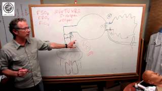 Oxygenation Understanding your BVM Device [upl. by Oecile220]