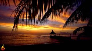 1 Hour Chill Out Reggae Island Music  Infest  Alific [upl. by Rothenberg370]