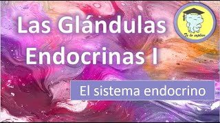 LAS GLÁNDULAS ENDOCRINAS  PARTE 1 [upl. by Nosnarb]