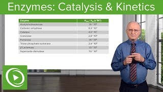 Enzymes Catalysis Kinetics amp Classification – Biochemistry  Lecturio [upl. by Nolyarb]