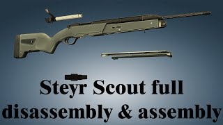 Steyr Scout full disassembly amp assembly [upl. by Virendra]