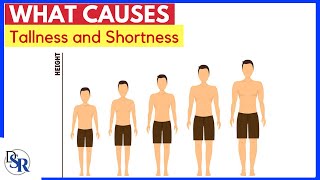 📏 What Causes Tallness and Shortness [upl. by Aivital815]