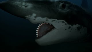 Hunting Down an Ancient Buzzsaw Killer The Helicoprion [upl. by Ynamrej]