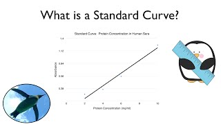 What is a Standard Curve [upl. by Mella]