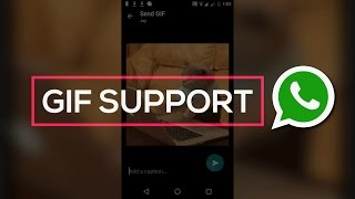 How to Enable GIF support on WhatsApp 😎 [upl. by Olathe]