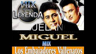 MIX LOS EMBAJADORES DEL VALLENATO [upl. by Wanda]