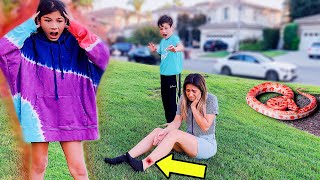 I GOT BIT BY A RATTLE SNAKE SHOCKING Pranking the kids for 24 hours  Familia Diamond [upl. by Theresa44]