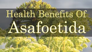 Health benefits of asafoetida [upl. by Ebert]