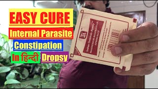 HOW to Epsom Salts Cure for Freshwater Aquarium Fish amp Pond Fish Dropsy Bloat amp Internal Parasite [upl. by Niu]