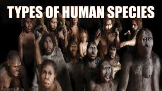 14 Different Types of Human Species  Explained [upl. by Templeton758]