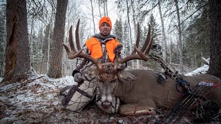 Giant Saskatchewan Archery Whitetail  Pierceland Outfitters [upl. by Auqinot]