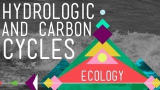 The Hydrologic and Carbon Cycles Always Recycle  Crash Course Ecology 8 [upl. by Bran138]