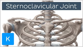 QUICK RELIEF How to heal a sternoclavicular joint sprain explained [upl. by Moore]