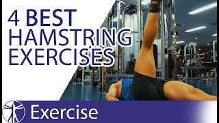 5 Band Hamstrings Strengthening Exercises At Home [upl. by Enaffit]