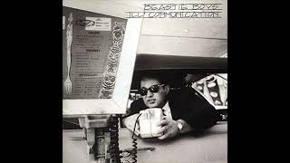 Beastie Boys  Ill Communication FULL ALBUM [upl. by Gwynne]