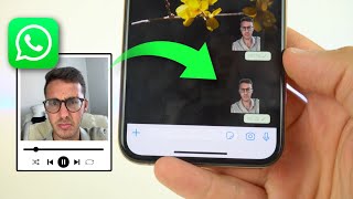 Crear STICKERS ANIMADOS en WhatsApp fácil y sin fondo ✅ [upl. by Hurlbut]