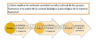 1 EVOLUCIONISMO [upl. by Modestine]