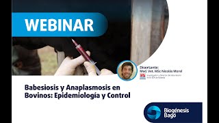 Babesiosis y Anaplasmosis en Bovinos Epidemiologia y Control  Webinar  Biogénesis Bagó [upl. by Naujat869]