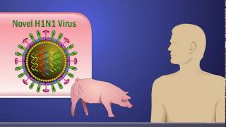 Colds and Flu  Spooky2 Rife Frequencies [upl. by Gairc]