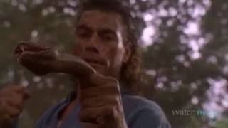 Top 10 JeanClaude Van Damme Moments [upl. by Adin]