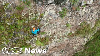 These Botanists Are Scaling Cliffs to Save Endangered Plants [upl. by Nils876]