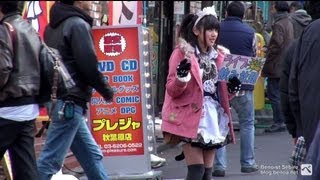 Maid Cafés amp Otakus in Akihabara [upl. by Serica]