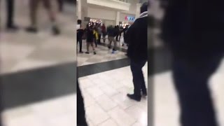 Cell phone video of Castleton Square Mall fight shot by Nicole Gabana [upl. by Edahc]