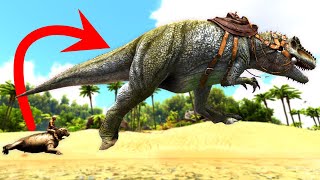 All Rideable Dinosaurs and Creatures on The Island Ark Survival Evolved [upl. by Suk]