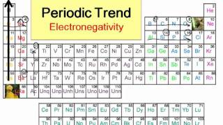 Periodic Trends in Electronegativity [upl. by Sair156]