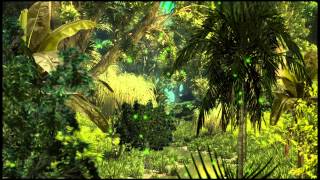 Background Jungle [upl. by Ecyaj]