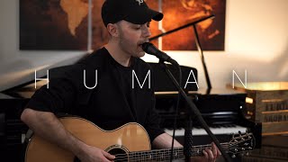 Christina Perri  Human Acoustic Cover by Dave Winkler [upl. by Luckin]