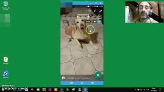 Hacer un Gif con Whatsapp  Paso a paso [upl. by Gleich193]