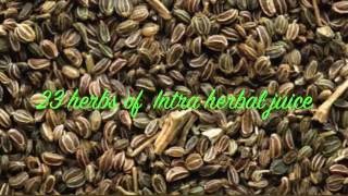 The 23 Herbs in Intra Herbal Juice [upl. by Rambow]