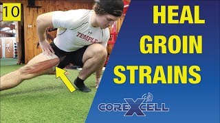 Groin Strain Adductor Magnus  One Day Fix Using this Unexpected Exercise  Ep10 [upl. by Nnazil]