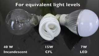 LED vs CFL vs Incandescent A19 Light Bulbs [upl. by Craw246]