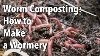 Worm Composting How to Make a Wormery [upl. by Alrzc]