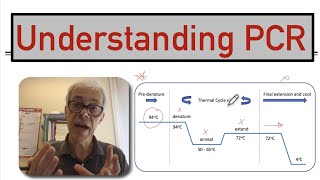 Understanding PCR [upl. by Narcho]