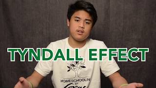 The Tyndall Effect  A 7th Grade Science Experiment [upl. by Eindys]