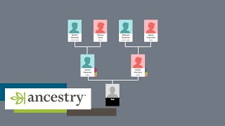 How Ancestry works  Howto  Ancestry UK [upl. by Engamrahc578]