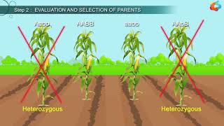 An Introduction To Plant Breeding [upl. by Alletse]