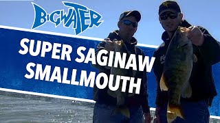 Giant Smallmouth Bass on Saginaw Bay  Our Fall Fishing Trip To Lake Huron [upl. by Brendin]