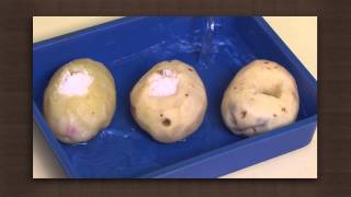 Potato experiment  Osmosis  Biology [upl. by Myron982]