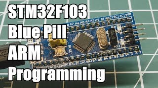 Blue Pill STM32F103 Arm Programming [upl. by Elli]