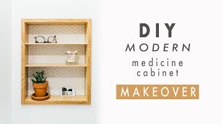 DIY Modern Medicine Cabinet Makeover  Recessed Wall Cabinet Shelves [upl. by Fleur939]