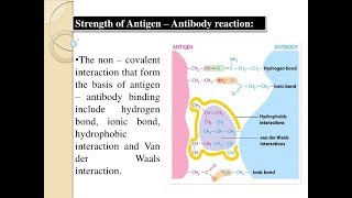 Microbiology of Antibody amp Antigen Interactions [upl. by Ysteb]