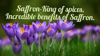 saffron Crocus sativusking of spices Benefits of Saffron [upl. by Esirtal]